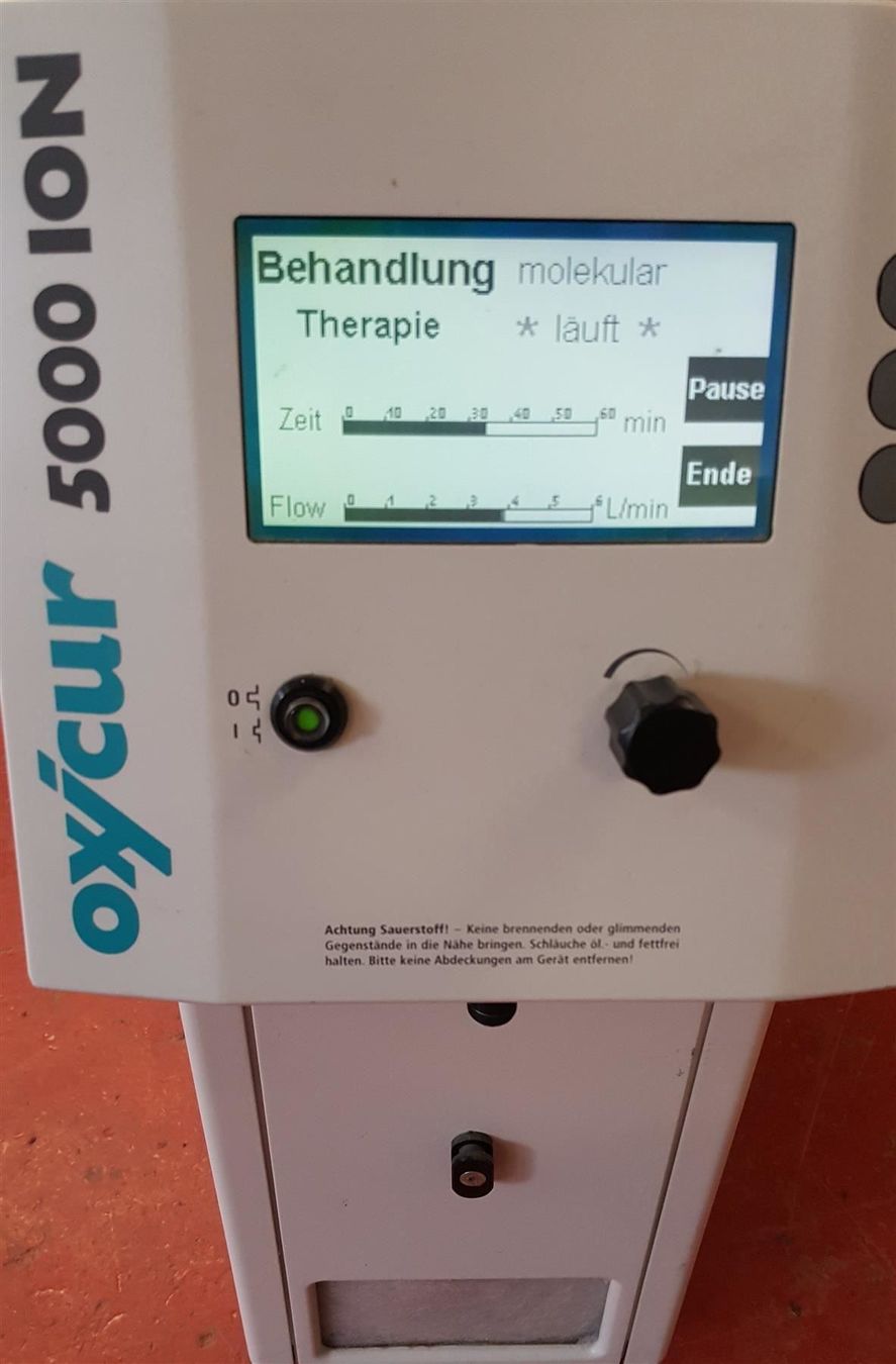 Accessori da laboratorio: Oxicur 5000 ION Sauerstoff Generator – Usato da Niederdorf venduto da LeptonAG_Labor 2