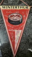 EHC Winterthur Wimpel 1991/92 Junioren A1 EIE 16 Unterschrif