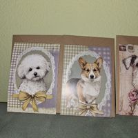 4 Hundekarten mit Umschlag Vintage Stil Neu