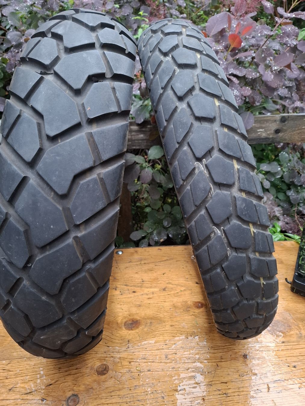 Pneumatici & Ruote complete: Motorradpneu – Usato da Reinach BL venduto da chlaus04