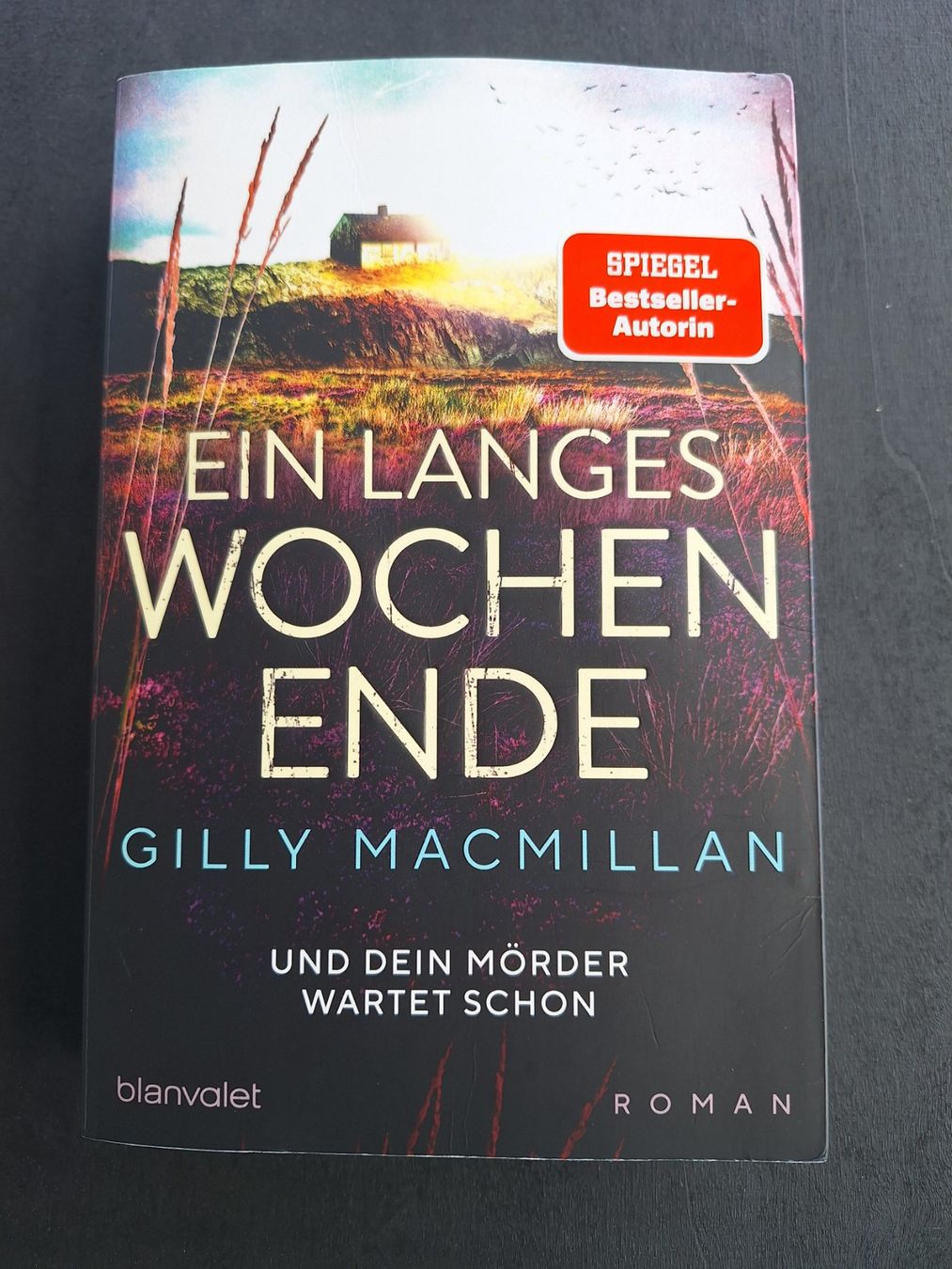 Livres: Gilly Macmillan - Ein langes Wochenende – D'occasion à Selzach par Stony17