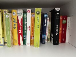 Lot de livres jeunesse 