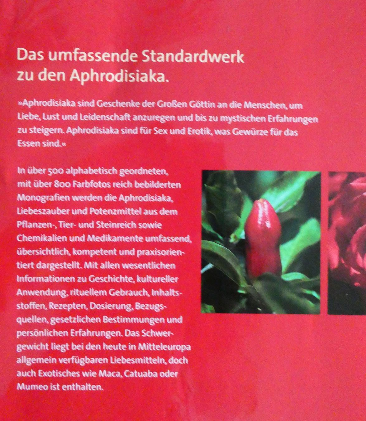 Libri: Lexikon der Liebesmittel – Nuovo (secondo la descrizione) da Jegenstorf venduto da Ak50 1