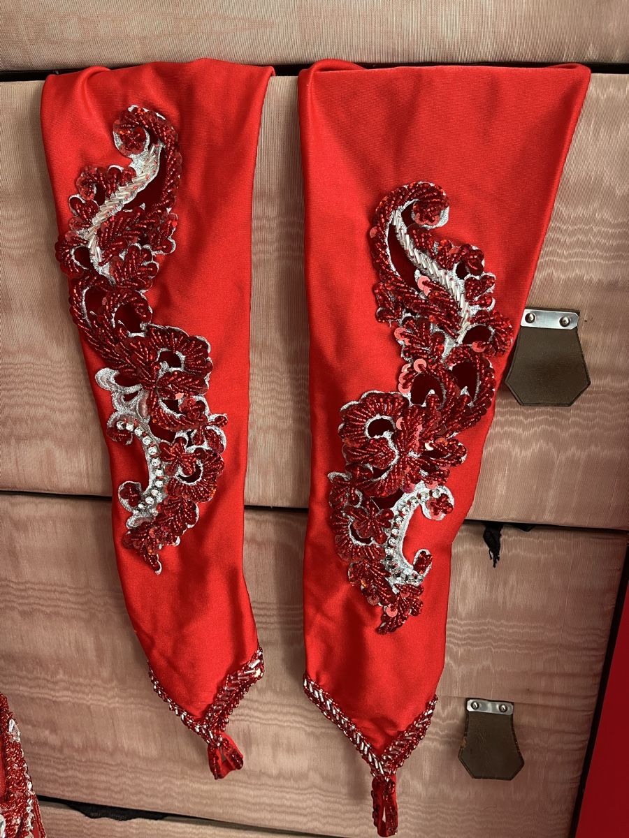 Kleider: Costume danza ventre rosso con accessori  – Gebraucht aus Novaggio von Sabi-Pearl 4