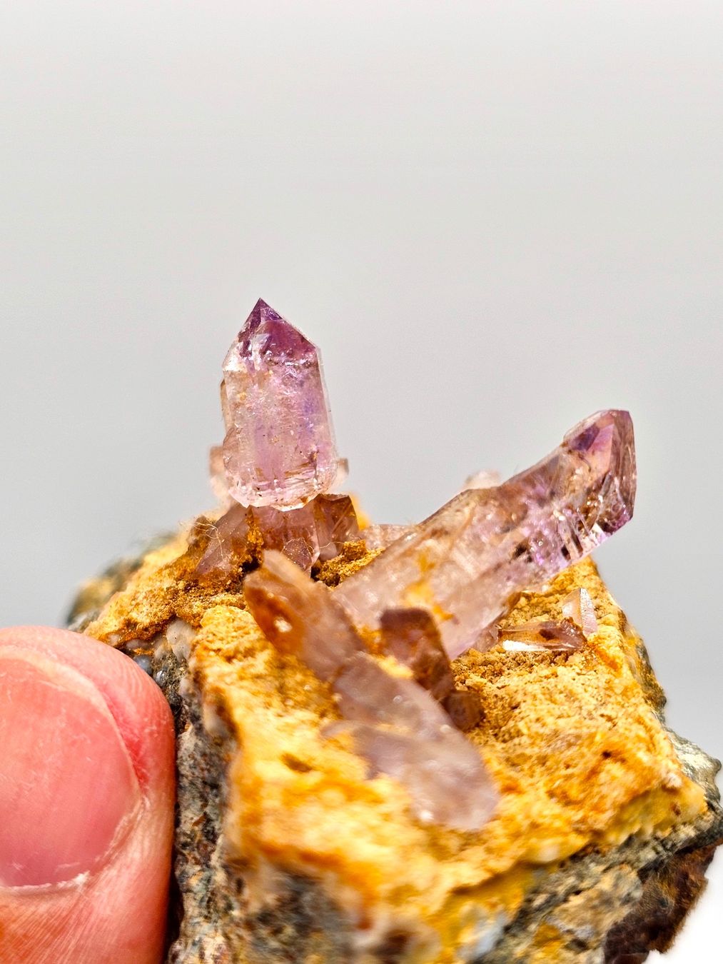 Minerali & Pietre curative: Quartz var. Amethyst, Goboboseb Mtns., Erongo, Namibia – Usato da Figino venduto da panshop 6