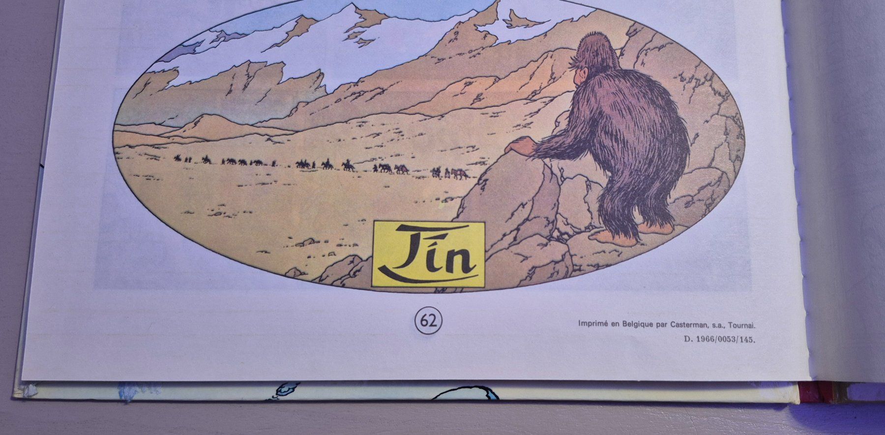 Comics: Tintin au Tibet – Gebraucht aus Grand-Lancy von loi_599y 4
