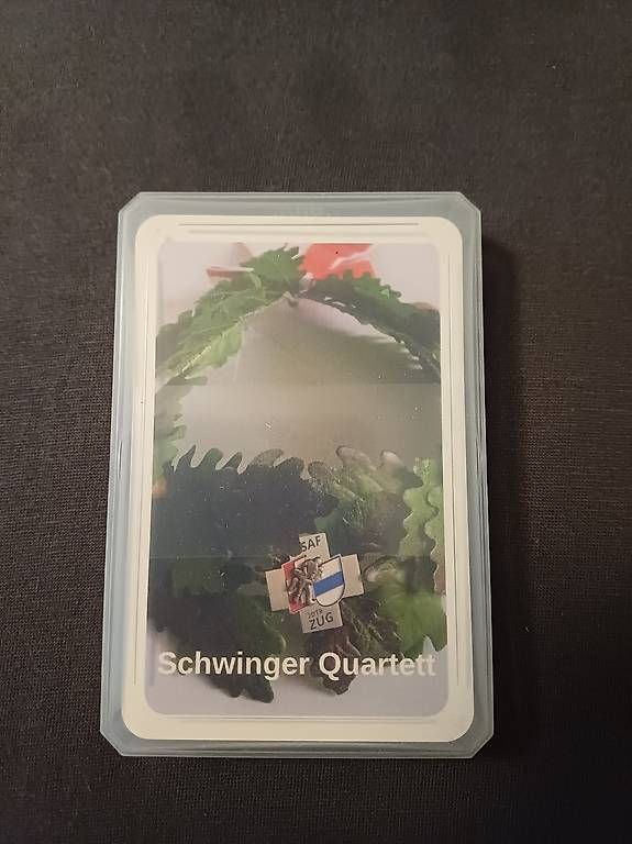 Giochi: Schwinger-Quartett (2019) – Usato da Rickenbach SZ venduto da rob_h5qt