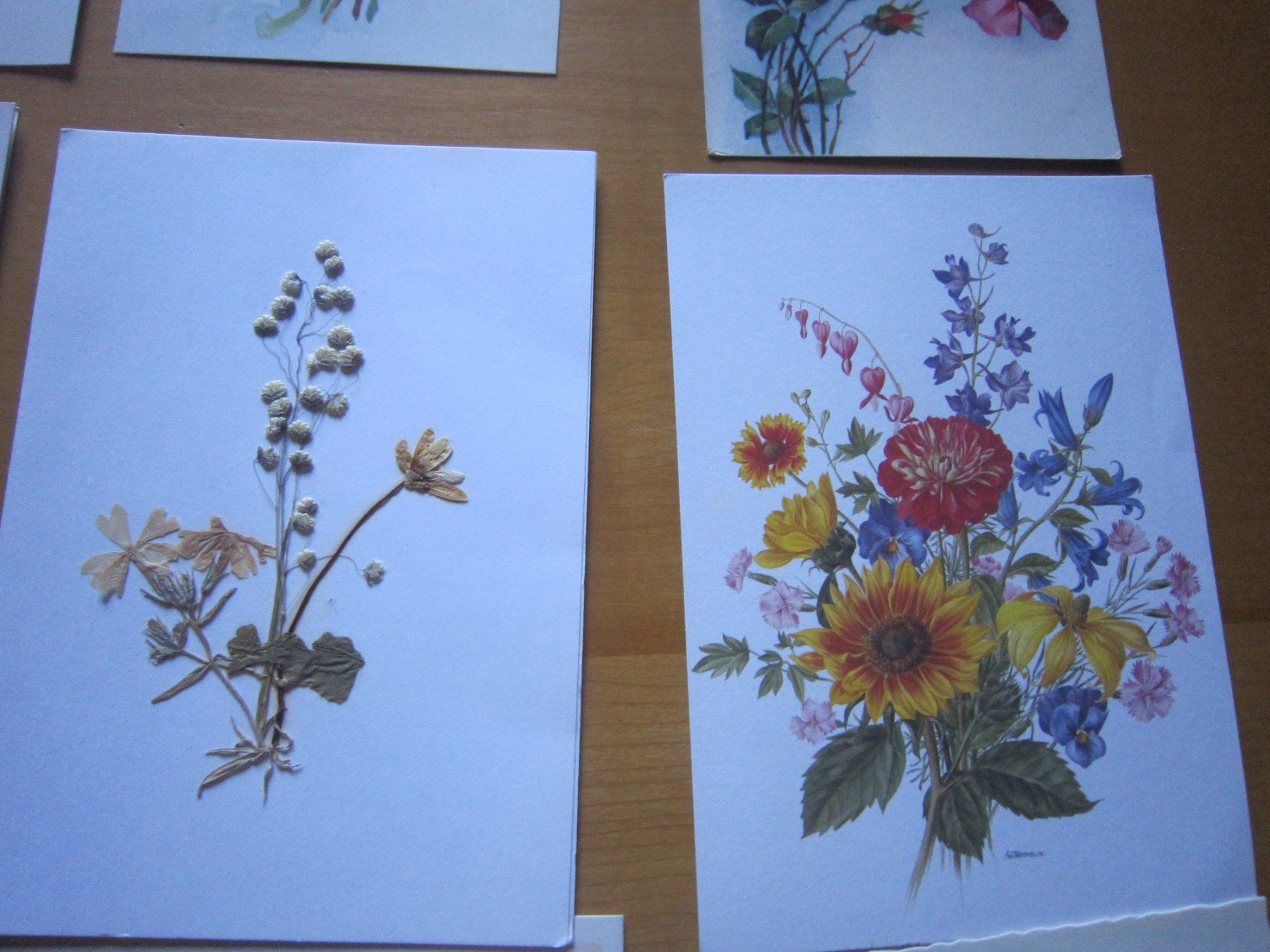 Cartes postales: No 2 Postkarte Blumen 1925 – D'occasion à Gordola par Polentaefung 5