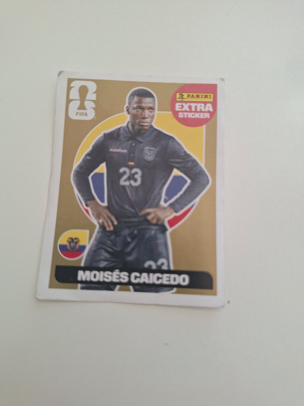 Panini Carte collezionabili: panini WM 2026 extra sticker  – Usato da Olten venduto da Nakate 5