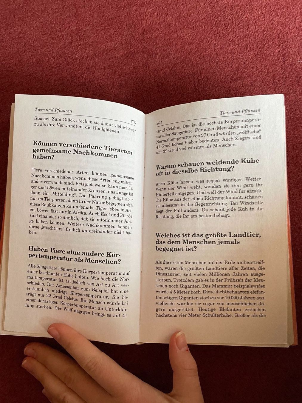 Libri: Das Buch der 1000 Kinderfragen – Usato da Krummenau venduto da apuscha30 2