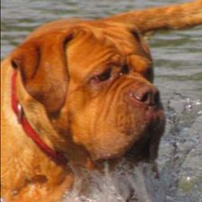 Profile image of raika