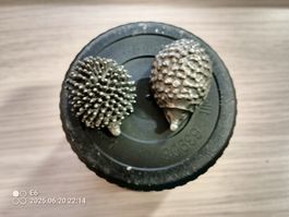 2 Herzige Zinn-Igeli
