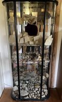 Vitrine Schaukasten leer z. B. für Mineralien