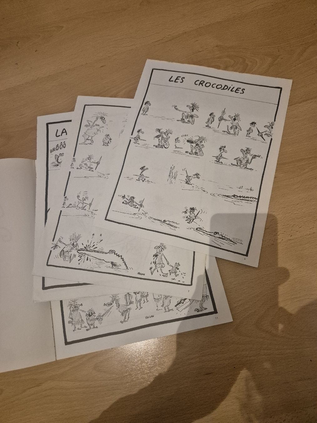 Fumetti: BD la vie au grand air – Usato da Villeneuve VD venduto da Floriang2