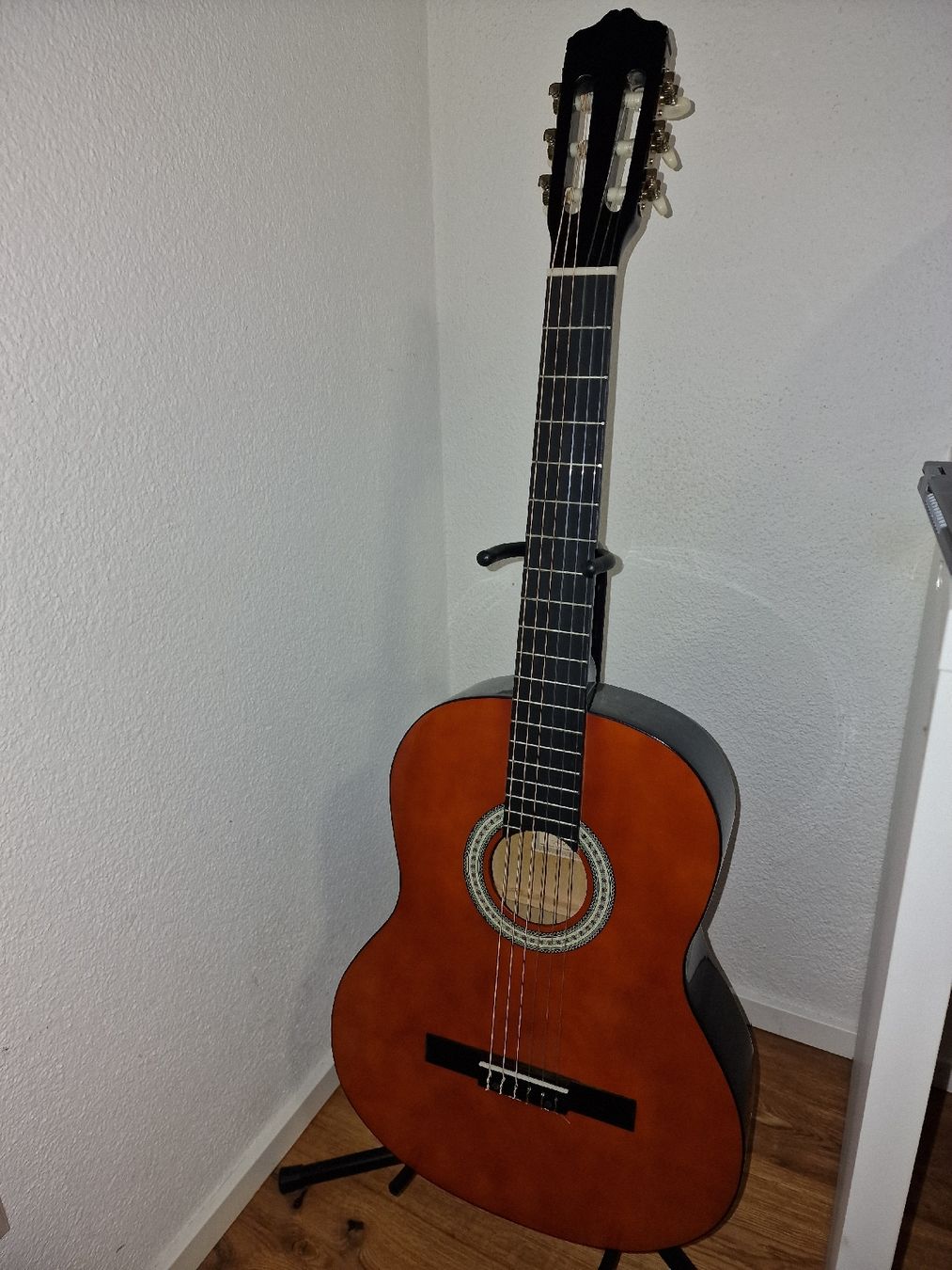 Strumenti musicali: Sheffield Concert Guitar + Ständer – Nuovo (secondo la descrizione) da Oftringen venduto da La_boca_de_la_coca