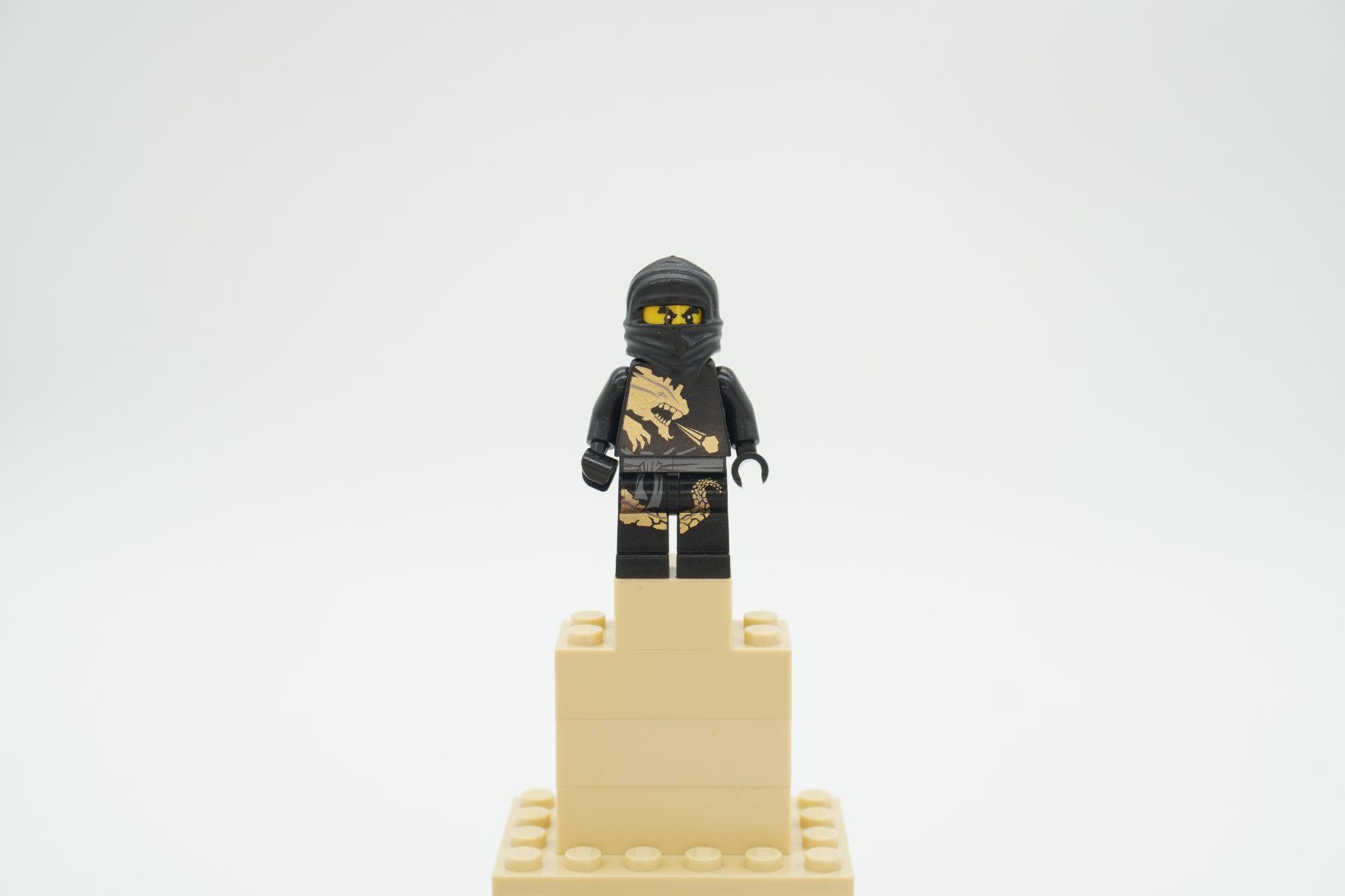 Lego Spielzeuge: Lego Ninjago Bonezai & Cole – Gebraucht aus Zürich von PWGrZ 5