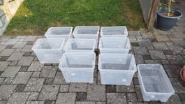 8 Plastikboxen, Kunststoff Boxen