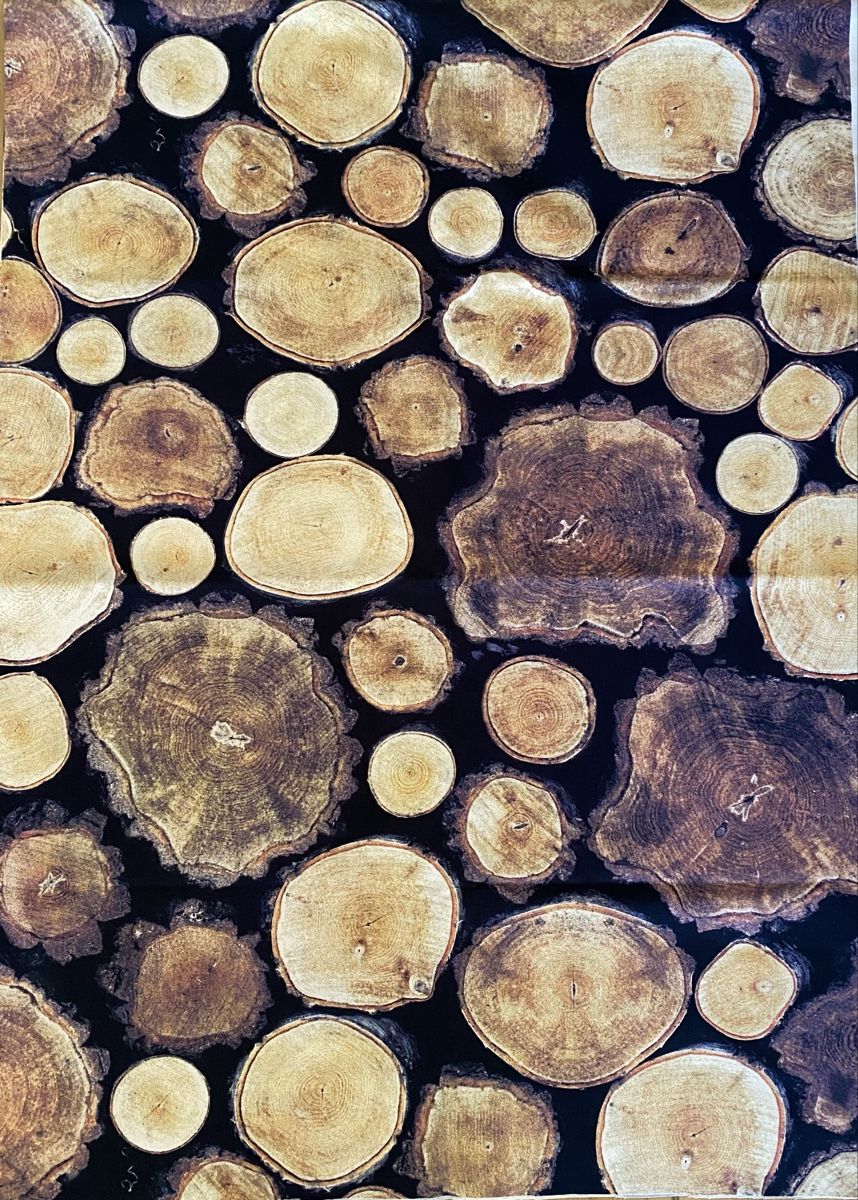 Tessuti: Natur Deko Stoff – Nuovo (secondo la descrizione) da Oberdorf SO venduto da nov_24