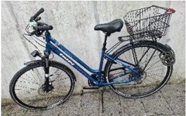 Velo Bixs