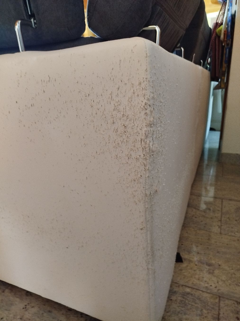 Conforama Divani: Bettsofa gebraucht – Usato da Naters venduto da mic_6sxw 2