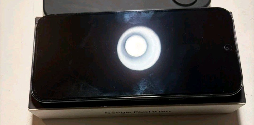 Google Telefoni cellulari / Smartphones: Google Pixel 9 Pro Top Zustand 256GB – Usato da Luzern venduto da Waince786 1