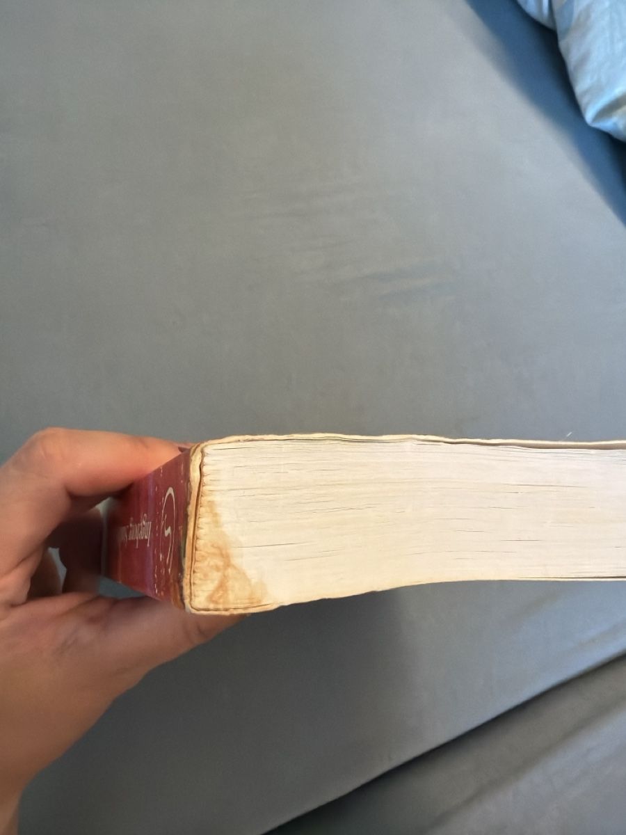 Libri: DIE HEBAMMEN-SPRECHSTUNDE – Usato da Dagmersellen venduto da Alegna123 1