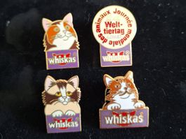 4 Pin Katze