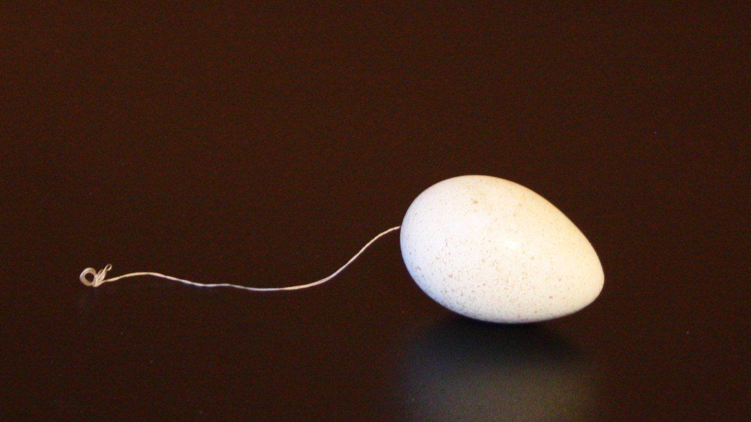 Tutte le decorazioni: Ei Osterdeko – Usato da Flüelen venduto da Diversicum-Shop 2