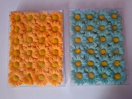 Steckblumen Margeriten Orange & Türkis 48 Stück