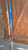 Langlaufski Fischer Nordic Cruising 174 cm gebraucht