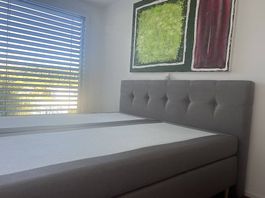 Box Spring Bett neuwertig 