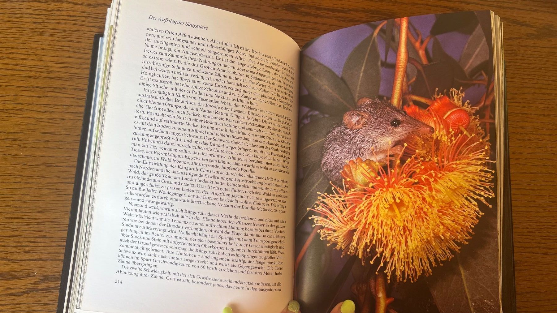 Bücher: David Attenborough: Das Leben auf unserer Erde -1979 – Gebraucht aus Schübelbach von Dolly990_2 6