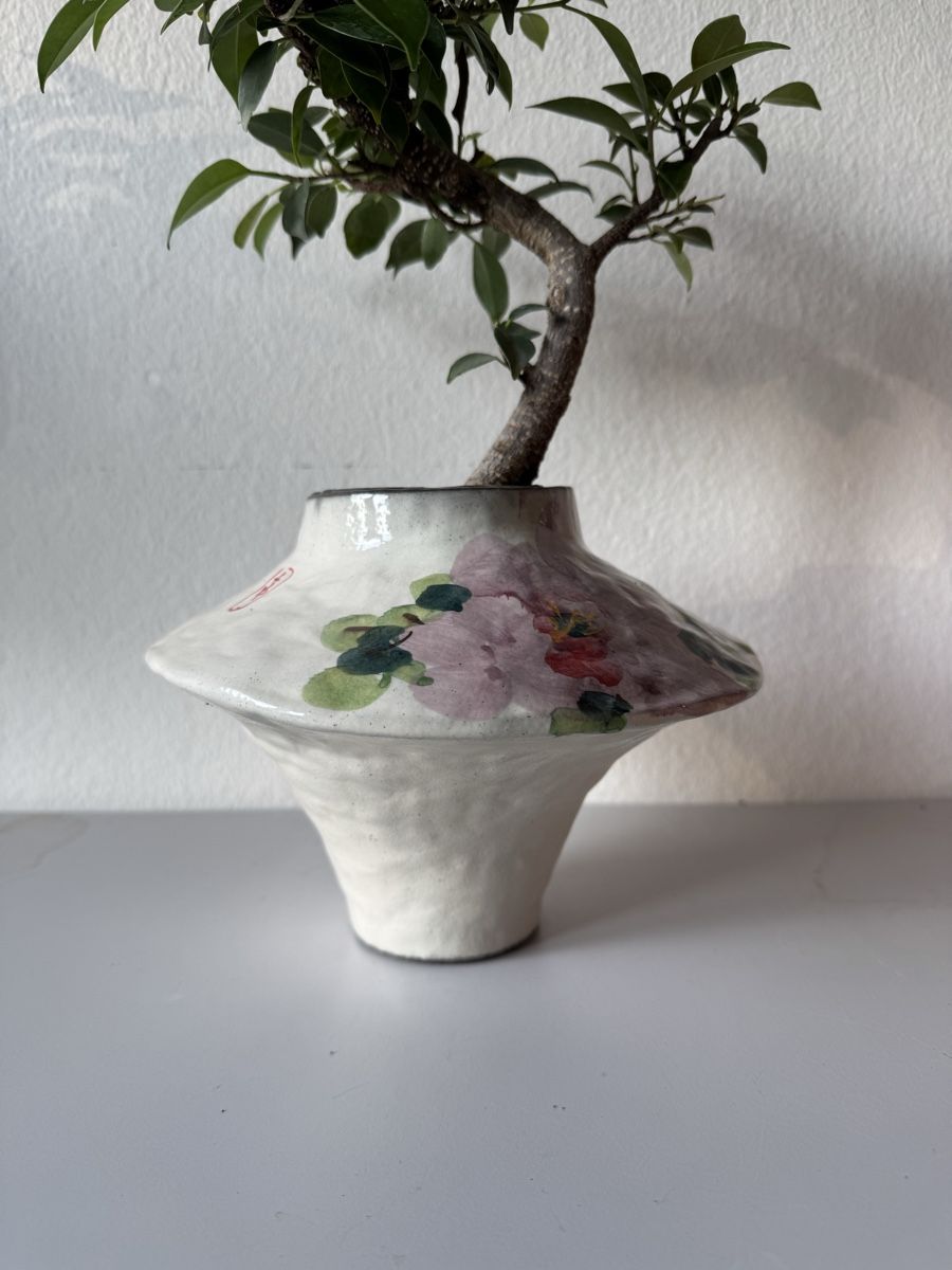 Piante & sementi: Ficus Bonsai in Vase – Usato da Rümlang venduto da Gruseh.ch 5