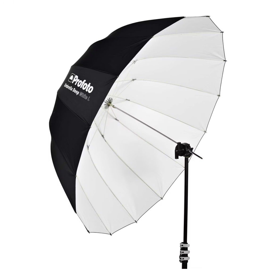 Diffusori di oli essenziali: Profoto Umbrella Deep White L mit Diffusor -1.5 – Usato da Fribourg venduto da waves55 4