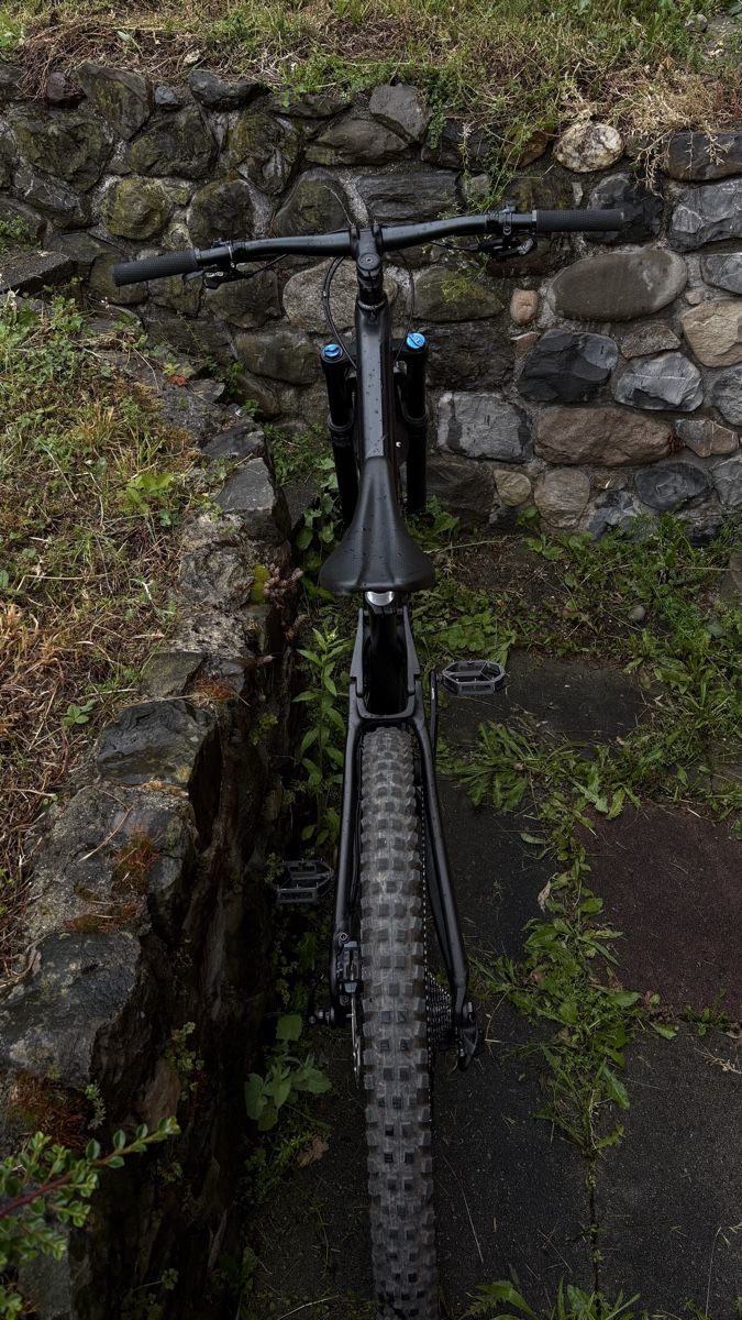 Trek Biciclette: Trek Fuel EX 8 – Usato da Luzern venduto da ele_v75f 7