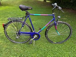 City Bike mit Gepäckträger