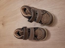 Schuh geox Gr. 25