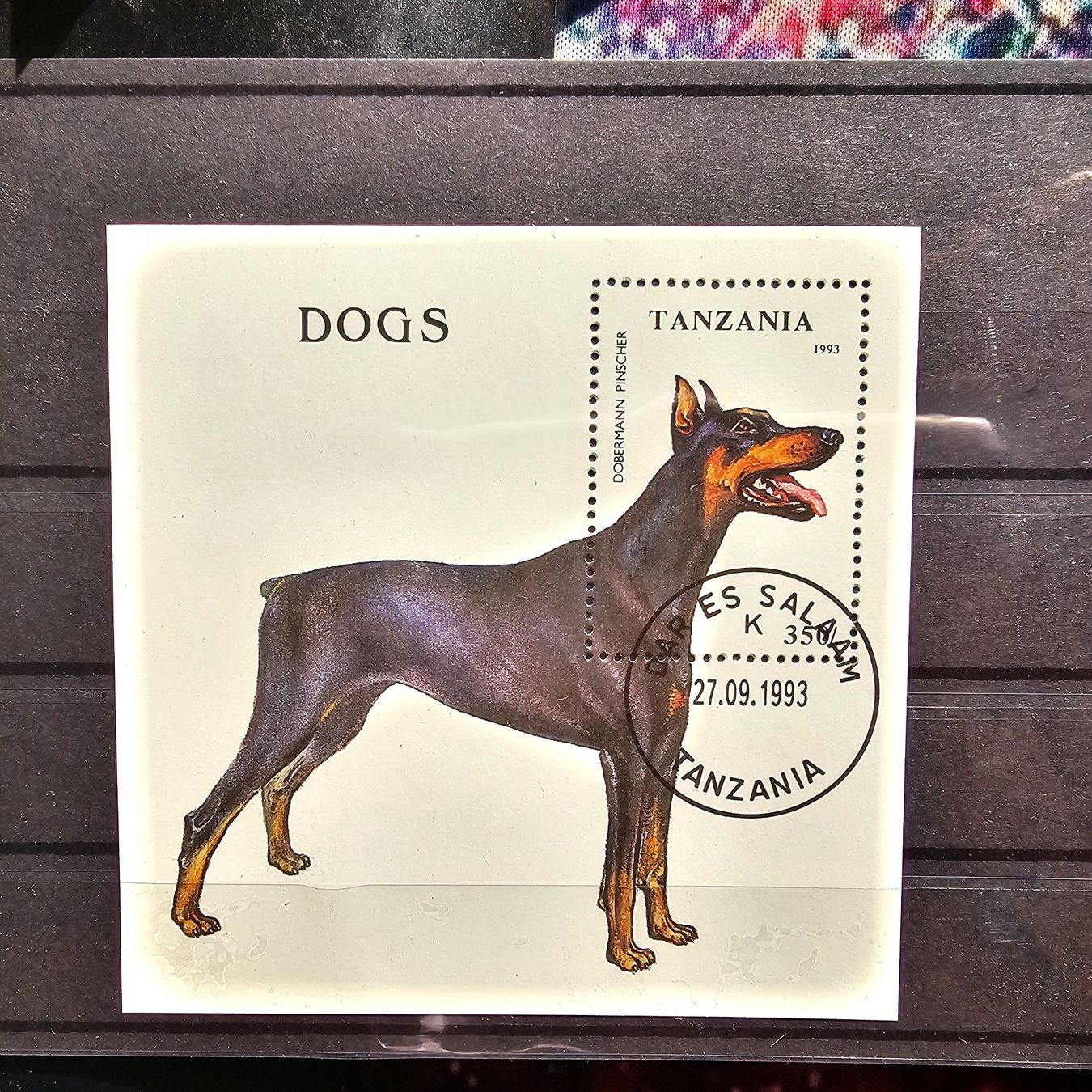 Tutti i francobolli: TANZANIA 1993 GEST. HUND – Usato da Dintikon venduto da bonita099