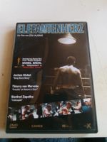 Filmdrama Elefantenherz DVD mit Daniel Brühl im Angebot