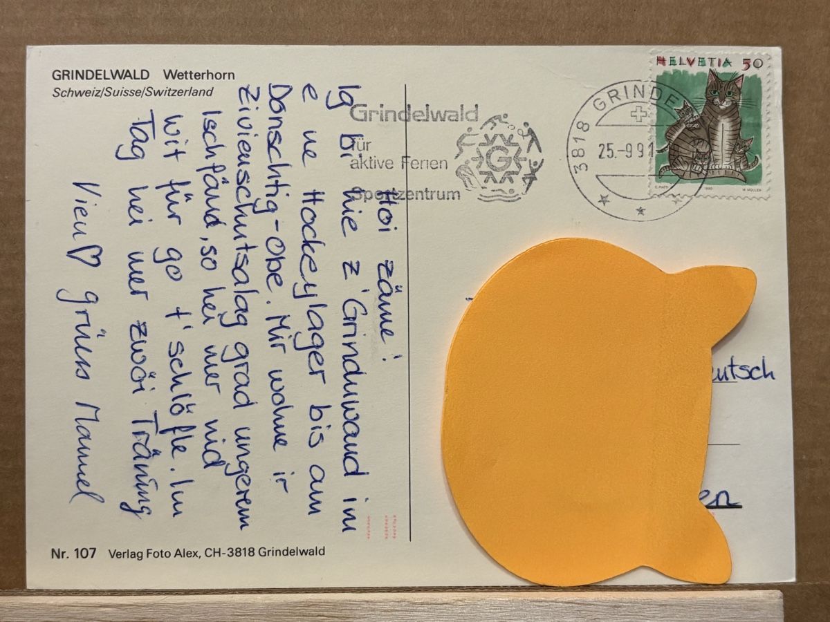Cartoline postali: AK von Grindelwald – Usato da Rümlang venduto da Kartenpost1 1