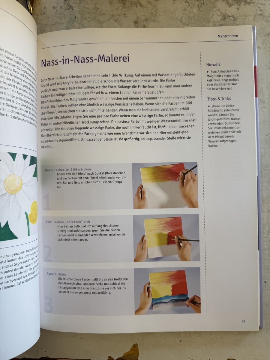 Libri: Acrylmalerei – Usato da Dietikon venduto da Buchantiqdietikon 2