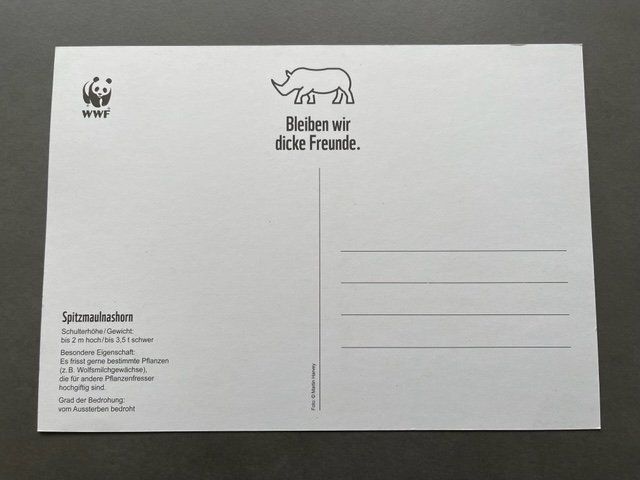 Poster & Bilder: NASHORN – Neu (gemäss Beschreibung) aus Honau von sainj 1