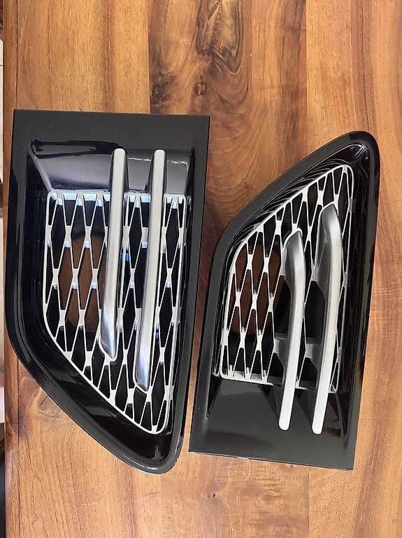 Tutti pezzi di ricambio auto: Range Rover Sport Seitengrill – Usato da Flums venduto da mojo265