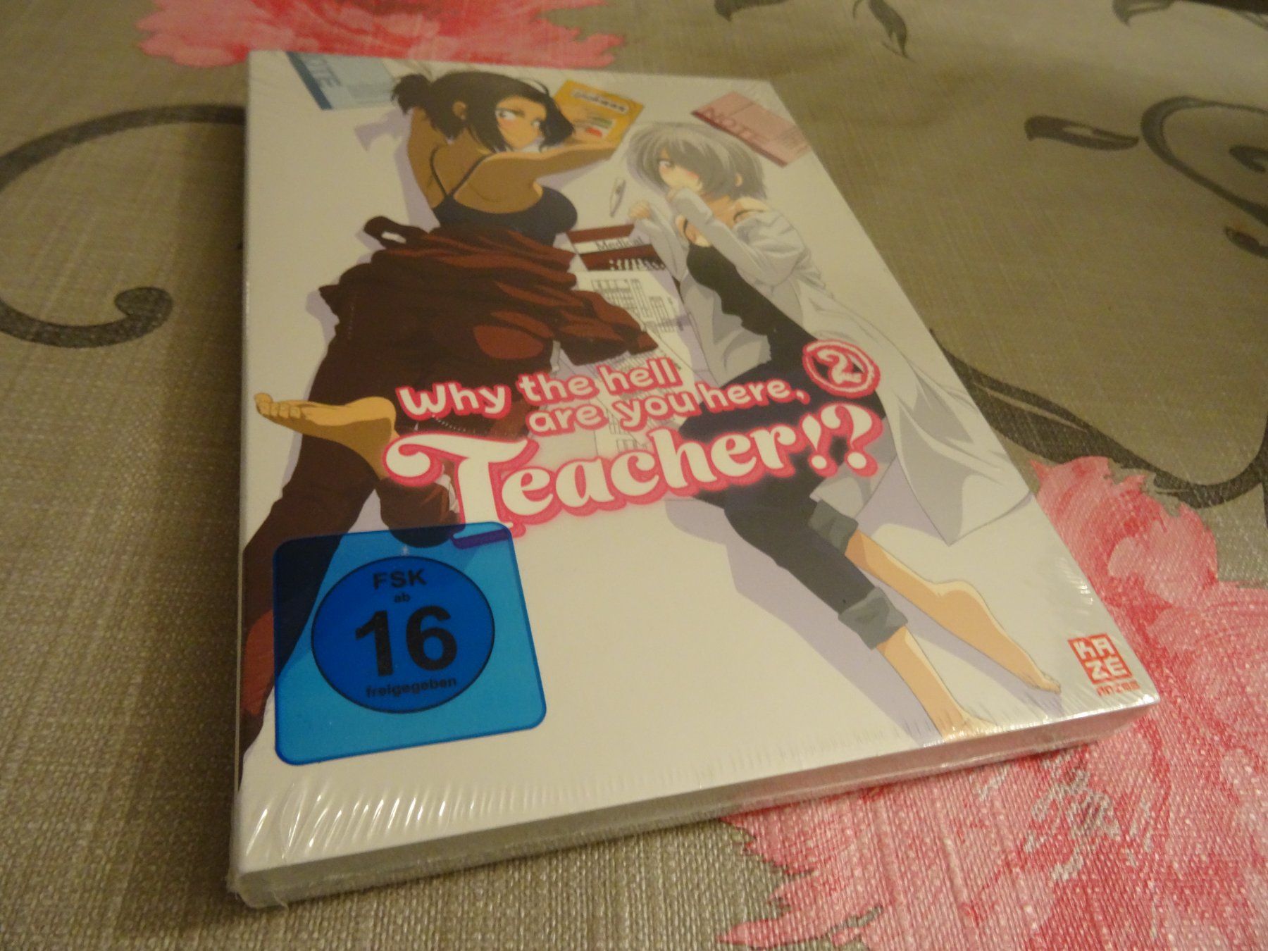 Alle DVDs: Why the Hell are you here, Teacher 2 DVD NEUWARE – Gebraucht aus Olten von Disc-Verkauf