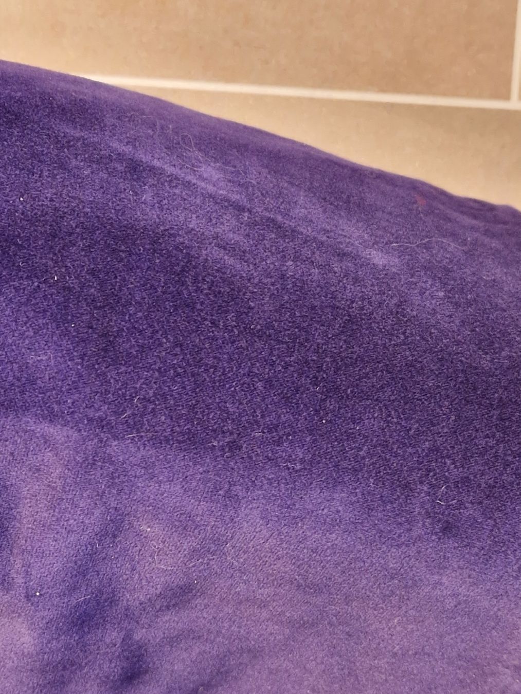 Cambio Pantaloni: Cambio Hose Paris flared 42 violett Samt – Nuovo (secondo la descrizione) da Lichtensteig venduto da Cocabana_16 4