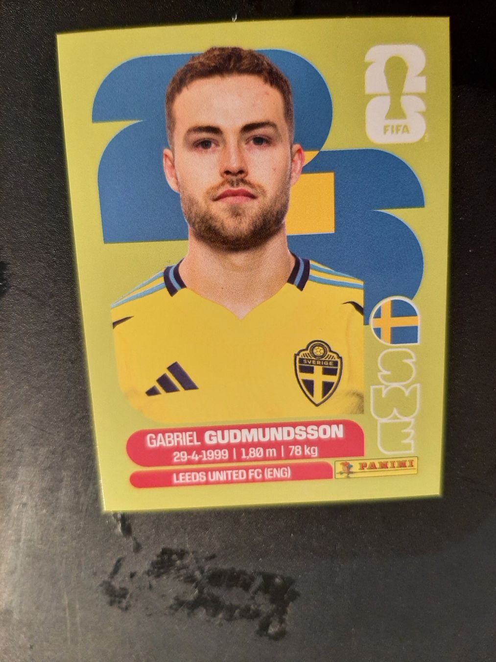 Panini Sammelbilder & Trading cards: Panini 2026 SWE4 – Neu (gemäss Beschreibung) aus Leuk-Stadt von Meic