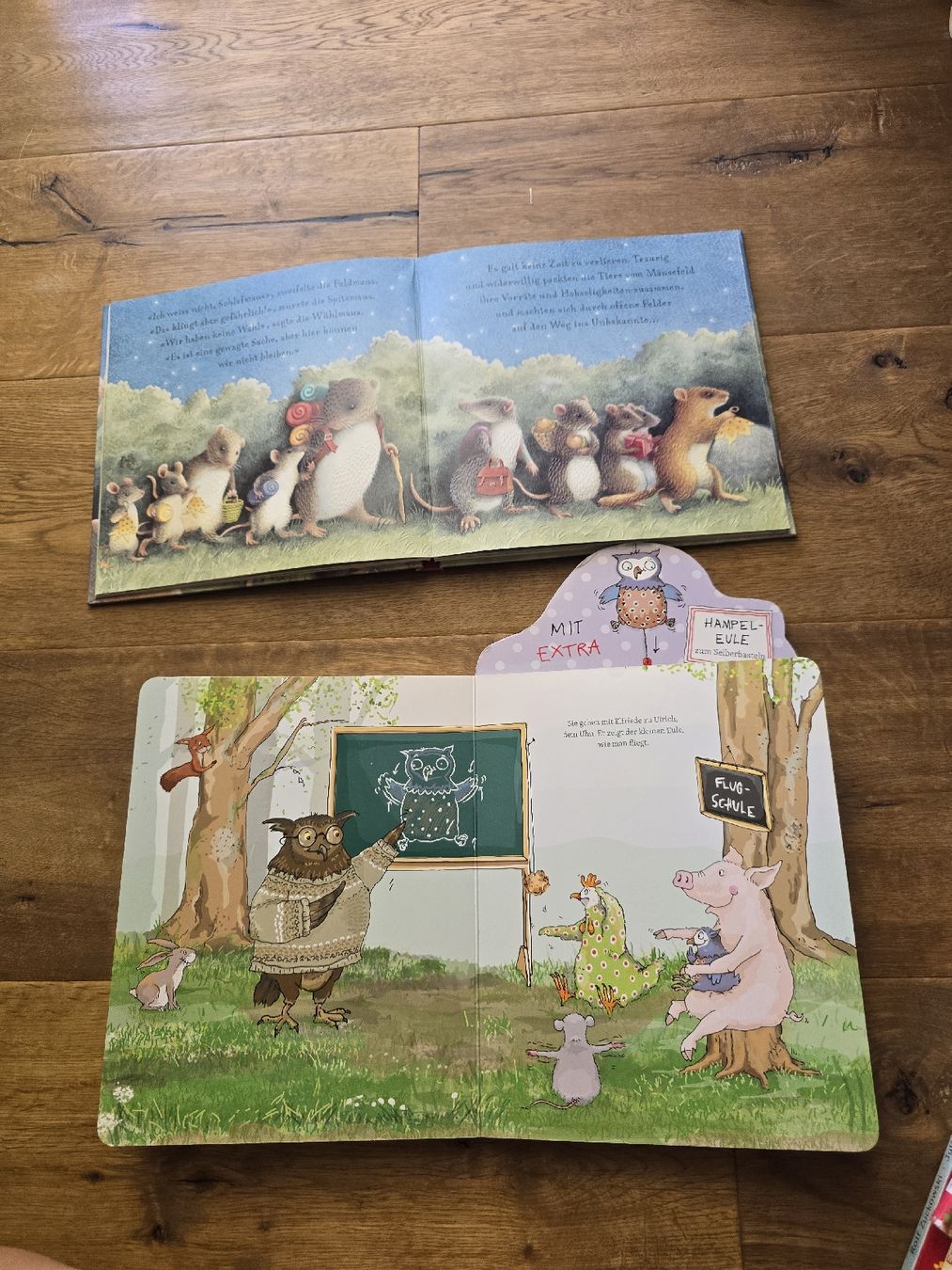 Libri: Kinderbuch Set 6 Stck set  guter Zustand – Usato da Wittenbach venduto da Tigerlili 6