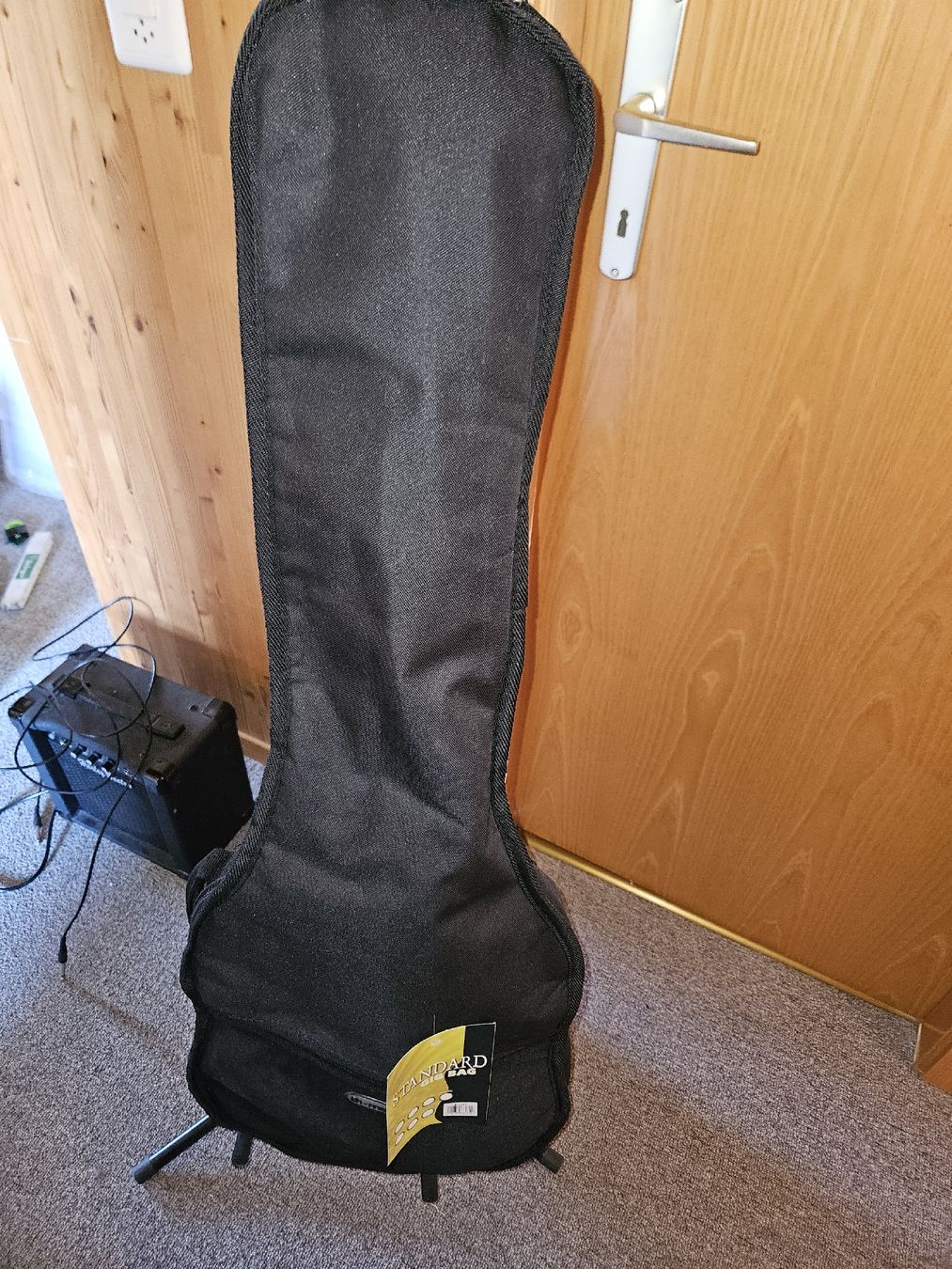 Harley Benton Musikinstrumente: E-Gittare  – Gebraucht aus Egg SZ von Audisport95 2