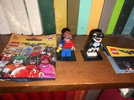 LEGO BATMAN 71017 minifiguren
