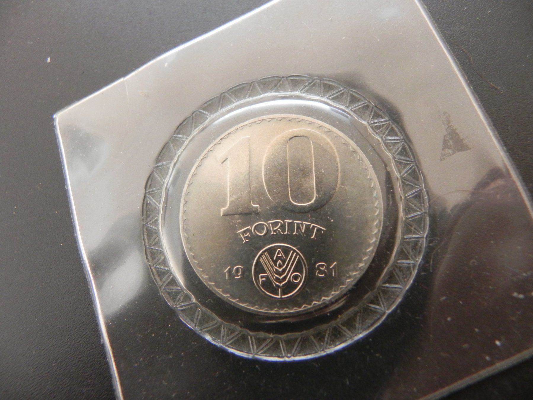 Tutti le monete: Ungarn 10 Forint 1981 FAO – Usato da Biel/Bienne venduto da Gogolozi